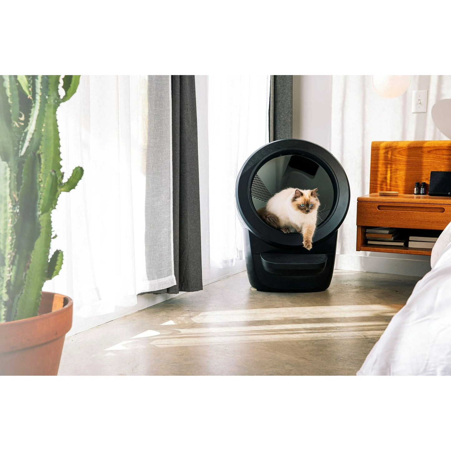 Whisker Litter-Robot 4 with Step, Automatic Self-Cleaning Cat Litter Box