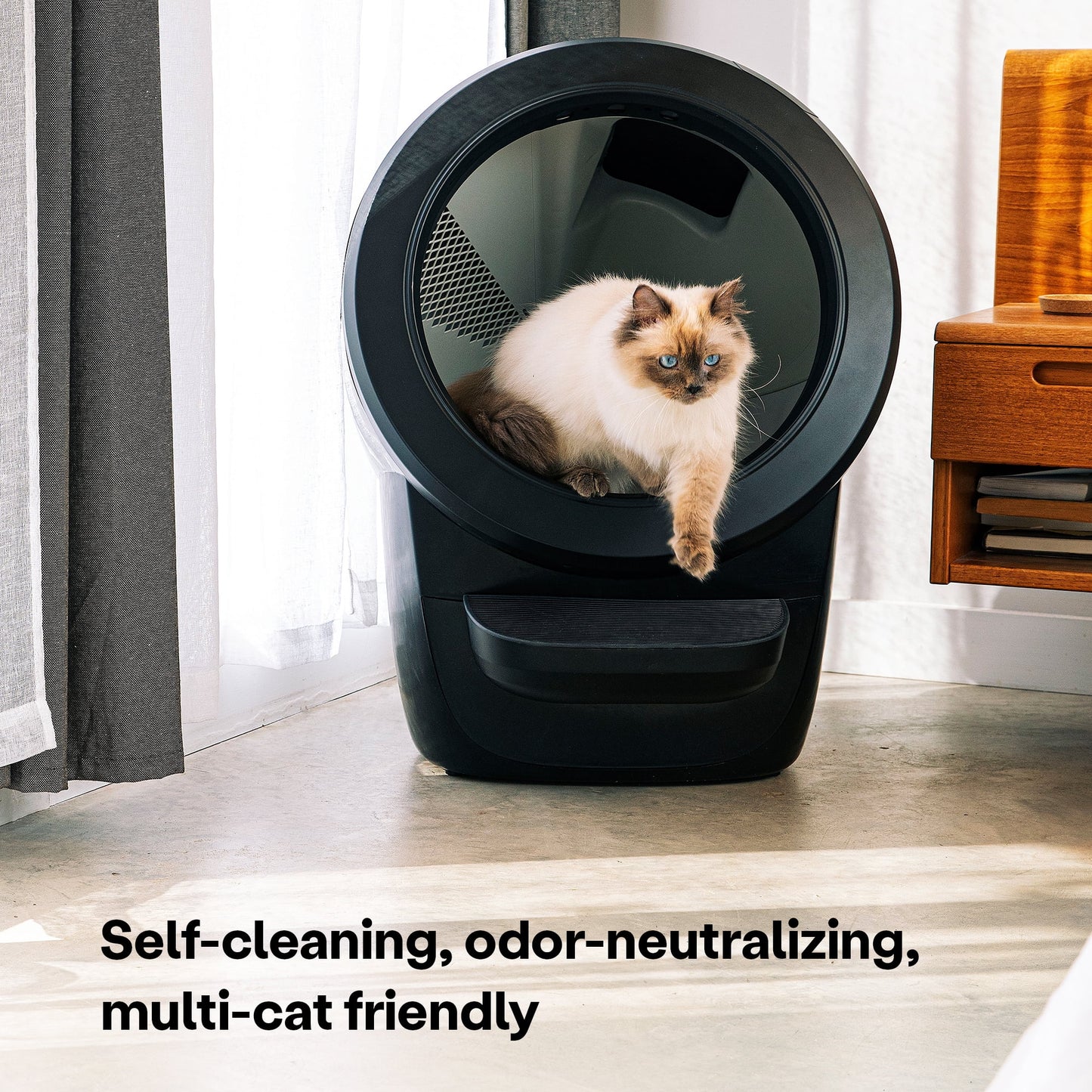 Whisker Litter-Robot 4 with Step, Automatic Self-Cleaning Cat Litter Box
